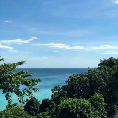 橙光皇途很江湖商城破解版下载